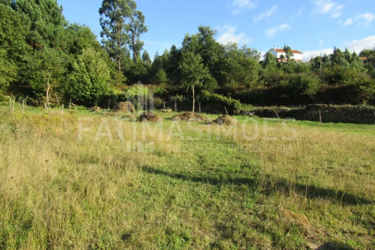 Terreno para Venda em Seixas Foto 2