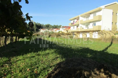 Terreno para Venda em Seixas