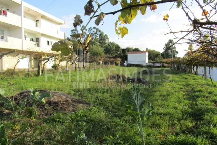 Terreno para Venda em Seixas Foto 2