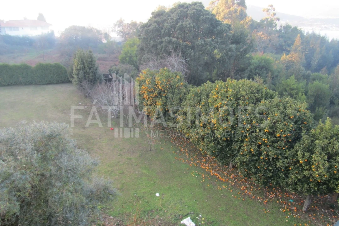 Moradia T3 para Venda em Caminha (Matriz) e Vilarelho Foto 15