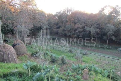 Terreno para Venda em Gondar e Orbacém