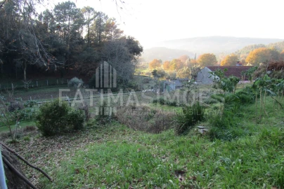 Terreno para Venda em Gondar e Orbacém