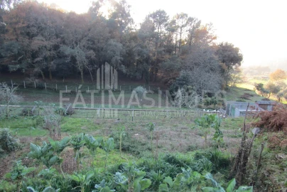 Terreno para Venda em Gondar e Orbacém