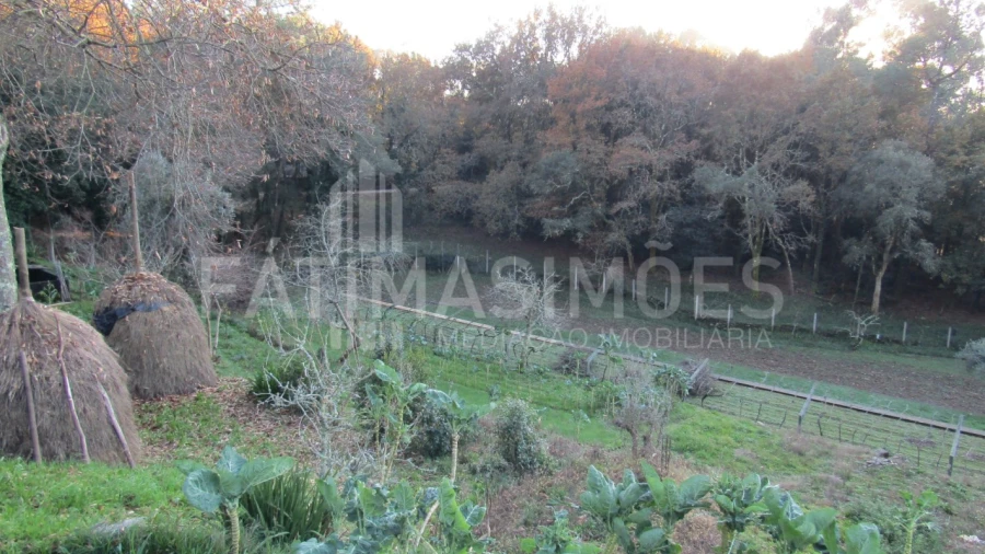 Terreno para Venda em Gondar e Orbacém