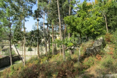 Terreno para Venda em Riba de Ancora