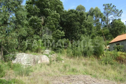 Terreno para Venda em Riba de Ancora