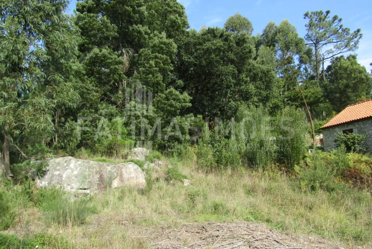 Terreno para Venda em Riba de Ancora Foto 3