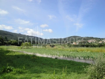 Terreno para Venda em Ancora