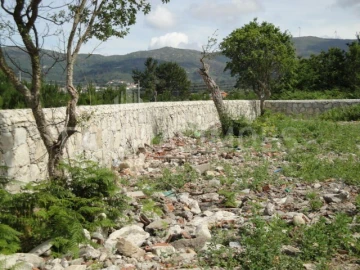Terreno para Venda em Ancora