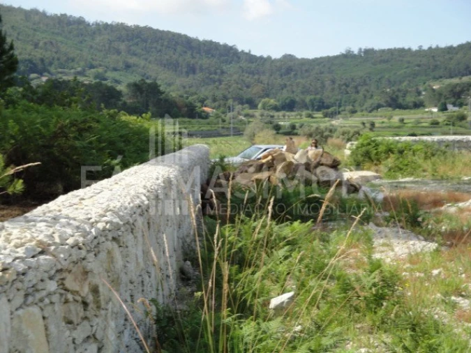 Terreno para Venda em Ancora Foto 2