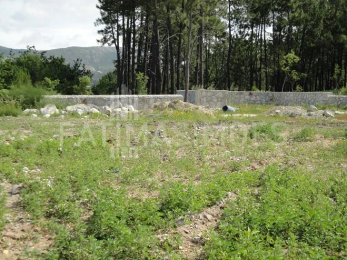 Terreno para Venda em Ancora Foto 3