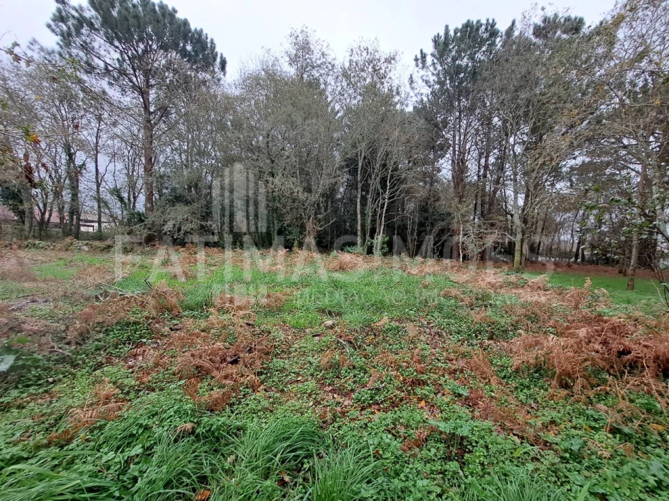 Terreno para Venda em Afife Foto 1
