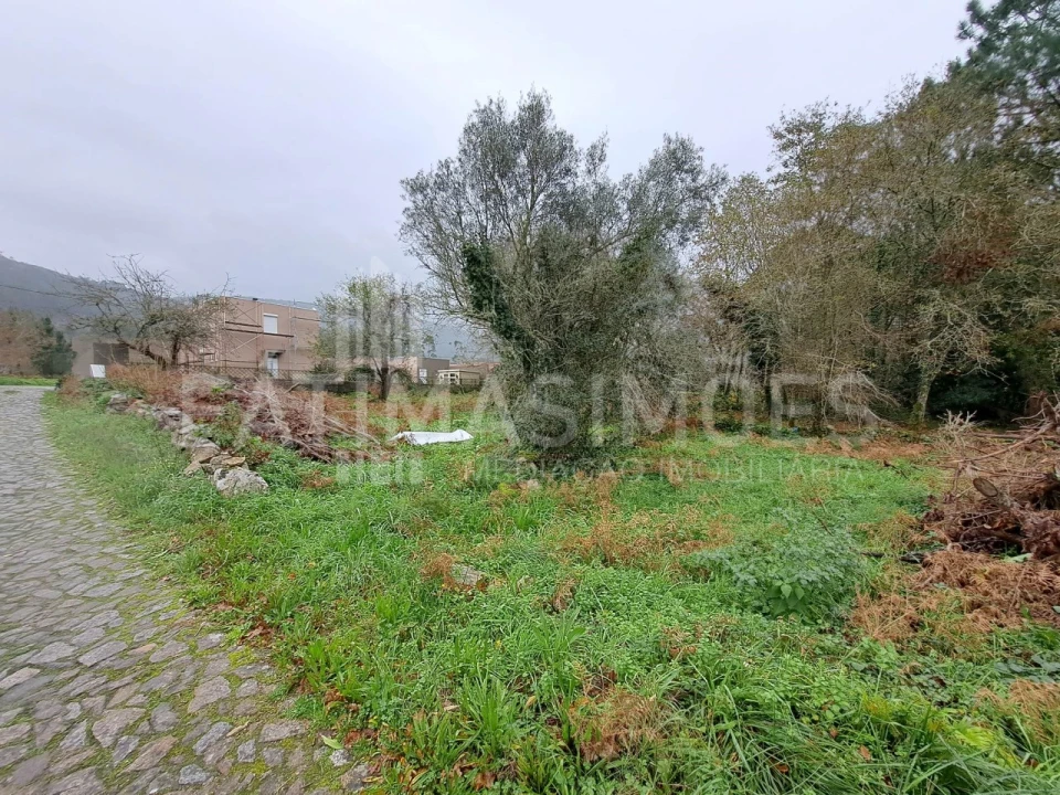 Terreno para Venda em Afife Foto 3