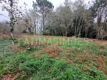 Terreno para Venda em Afife
