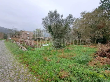 Terreno para Venda em Afife