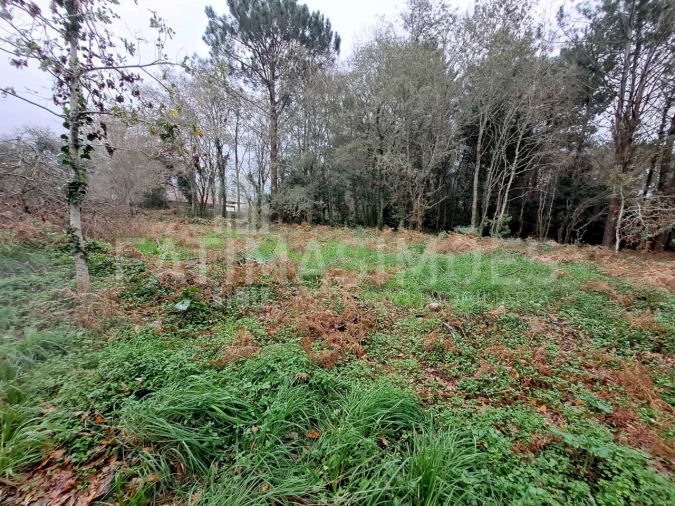 Terreno para Venda em Afife Foto 2