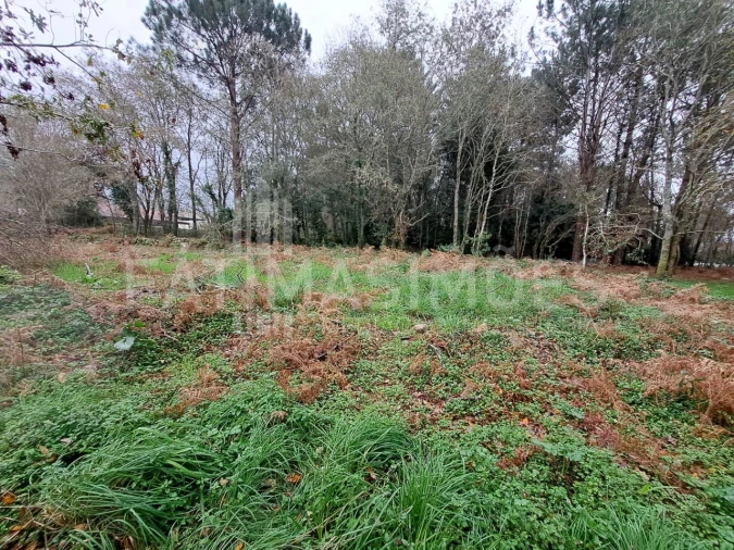 Terreno para Venda em Afife Foto 4