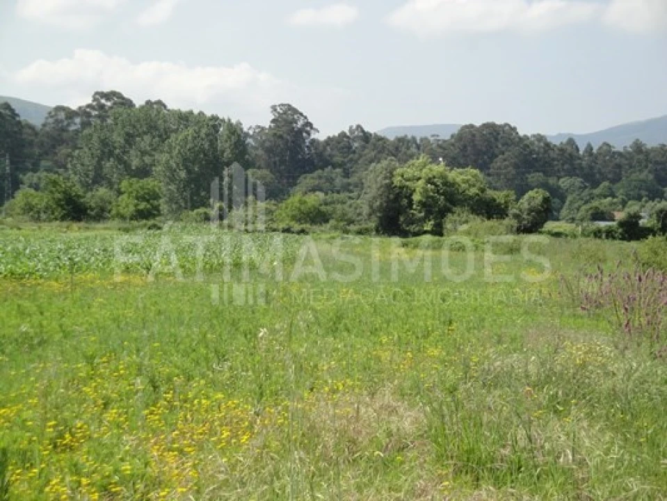 Terreno para Venda em Vilar de Mouros Foto 4