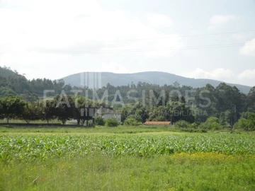 Terreno para Venda em Vilar de Mouros