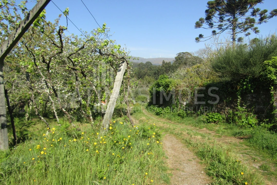 Quinta T4 para Venda em Freixieiro de Soutelo Foto 16
