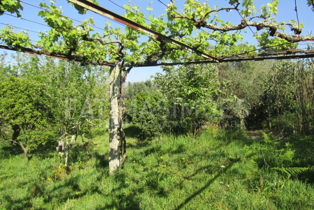 Quinta T4 para Venda em Freixieiro de Soutelo Foto 19