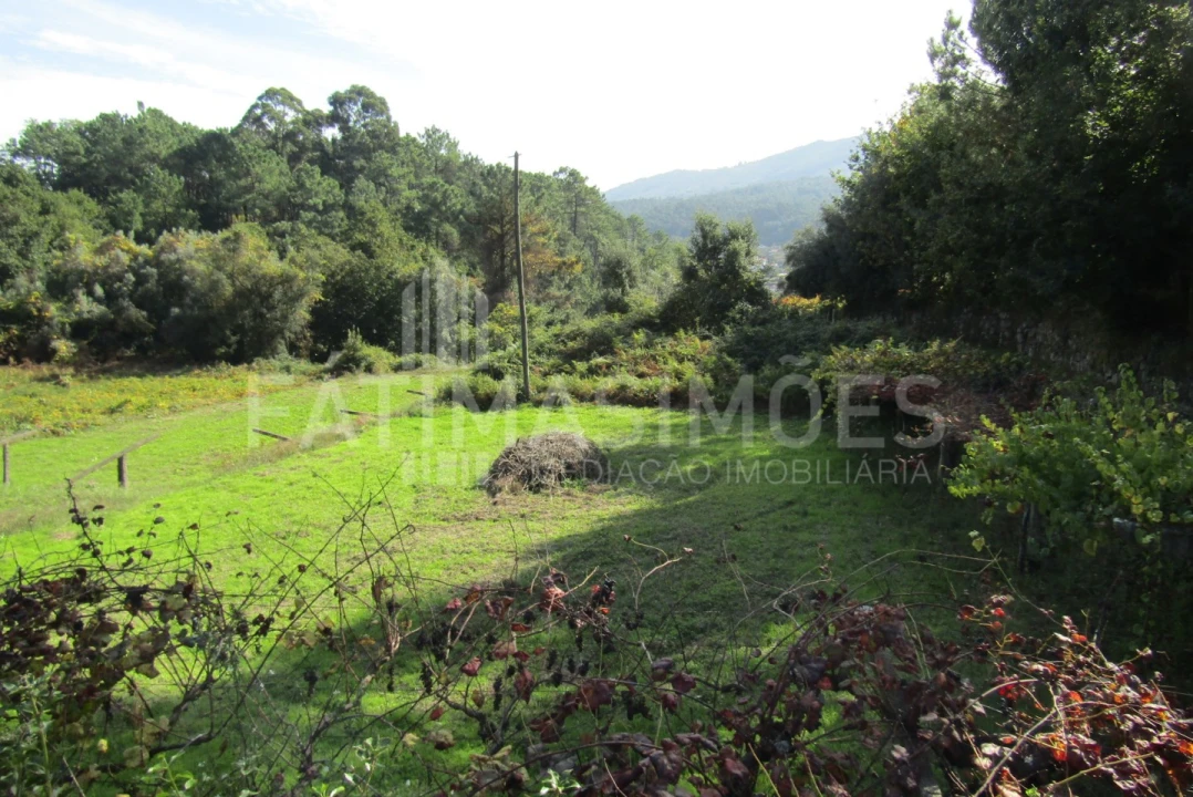 Terreno para Venda em Riba de Ancora Foto 1