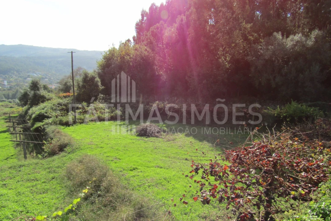 Terreno para Venda em Riba de Ancora Foto 4