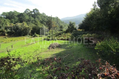 Terreno para Venda em Riba de Ancora