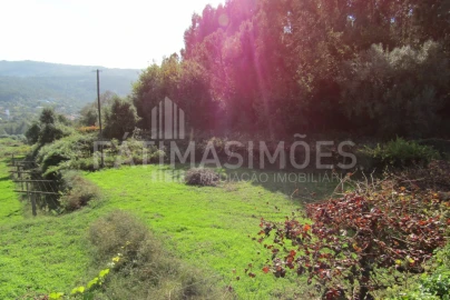 Terreno para Venda em Riba de Ancora