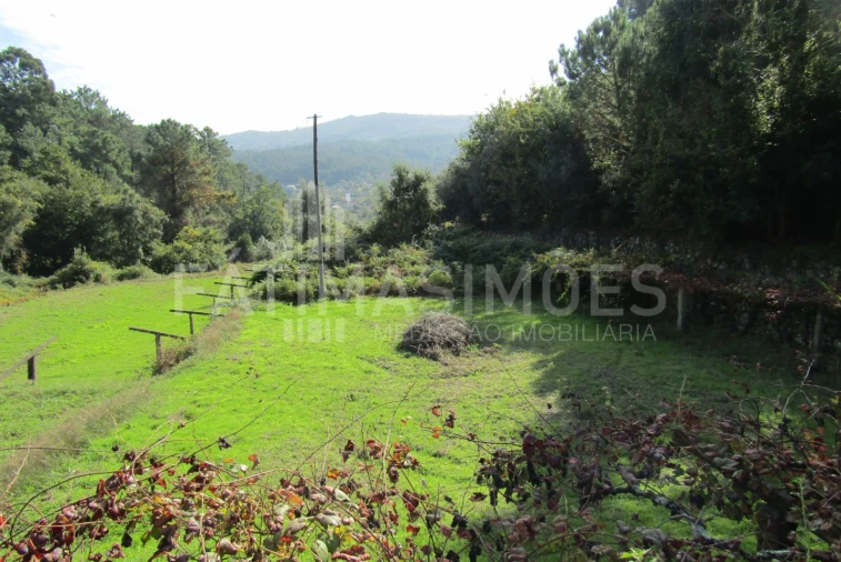 Terreno para Venda em Riba de Ancora Foto 3