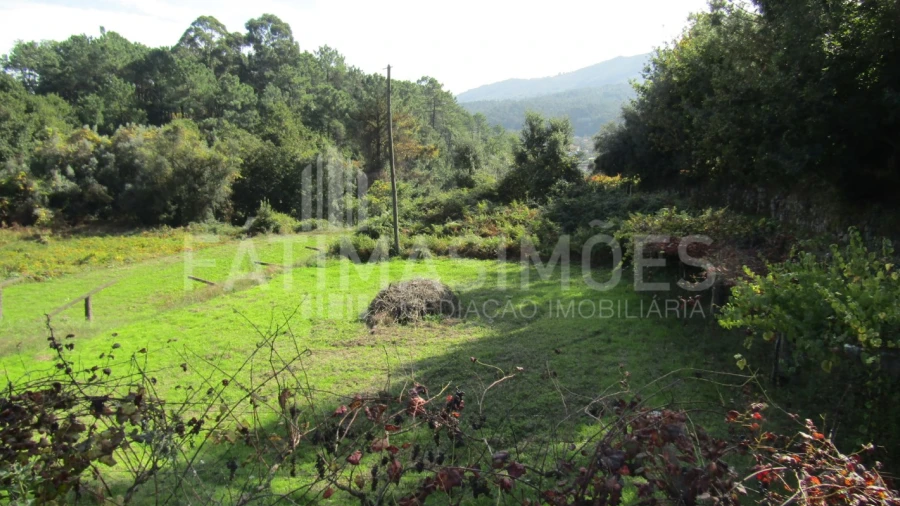 Terreno para Venda em Riba de Ancora
