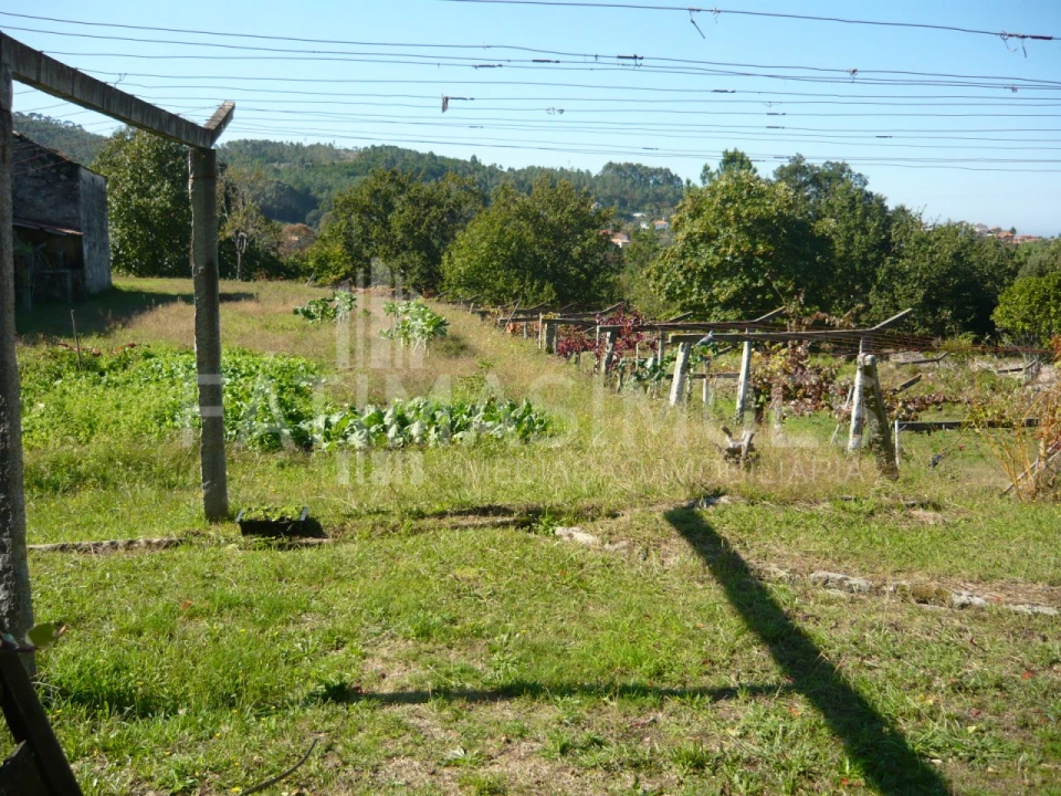 Quinta para Venda em Ancora Foto 2