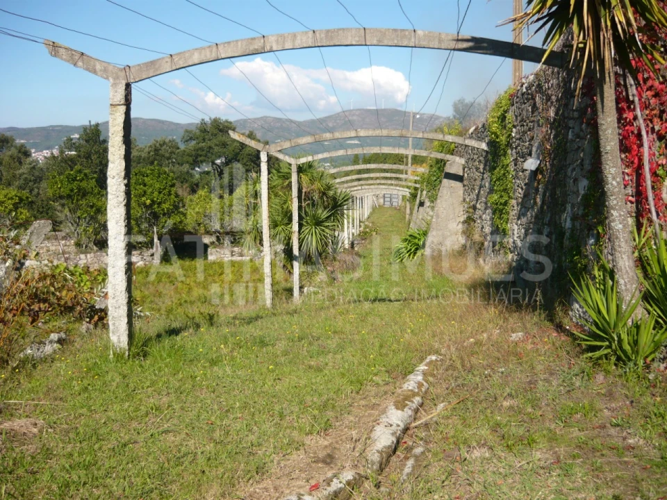 Quinta para Venda em Ancora Foto 3