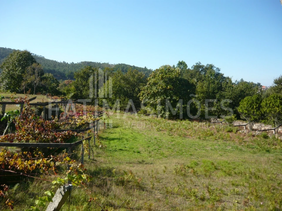 Quinta para Venda em Ancora Foto 4
