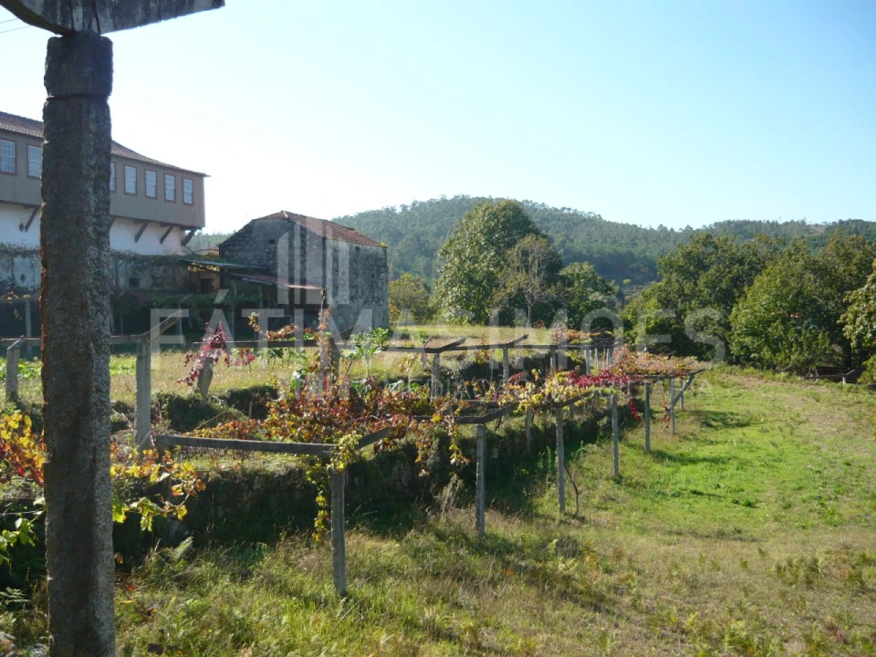 Quinta para Venda em Ancora Foto 5