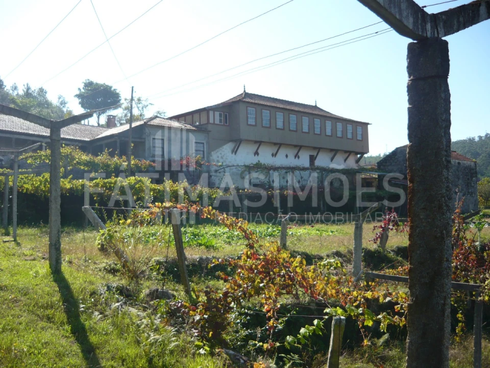 Quinta para Venda em Ancora Foto 6