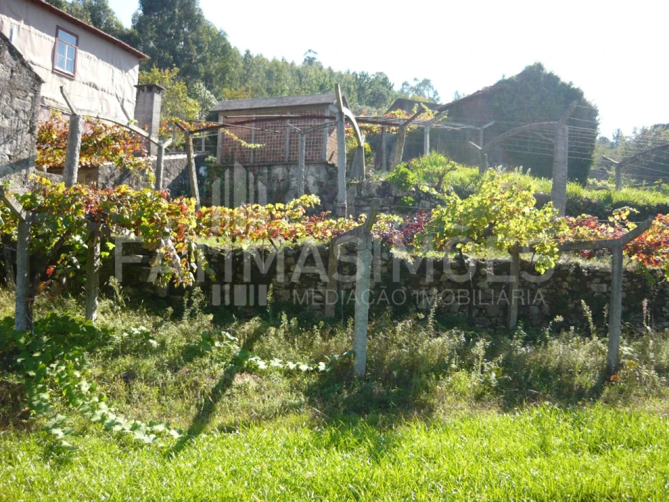 Quinta para Venda em Ancora Foto 9