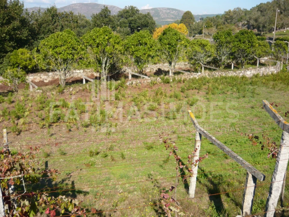 Quinta para Venda em Ancora Foto 10
