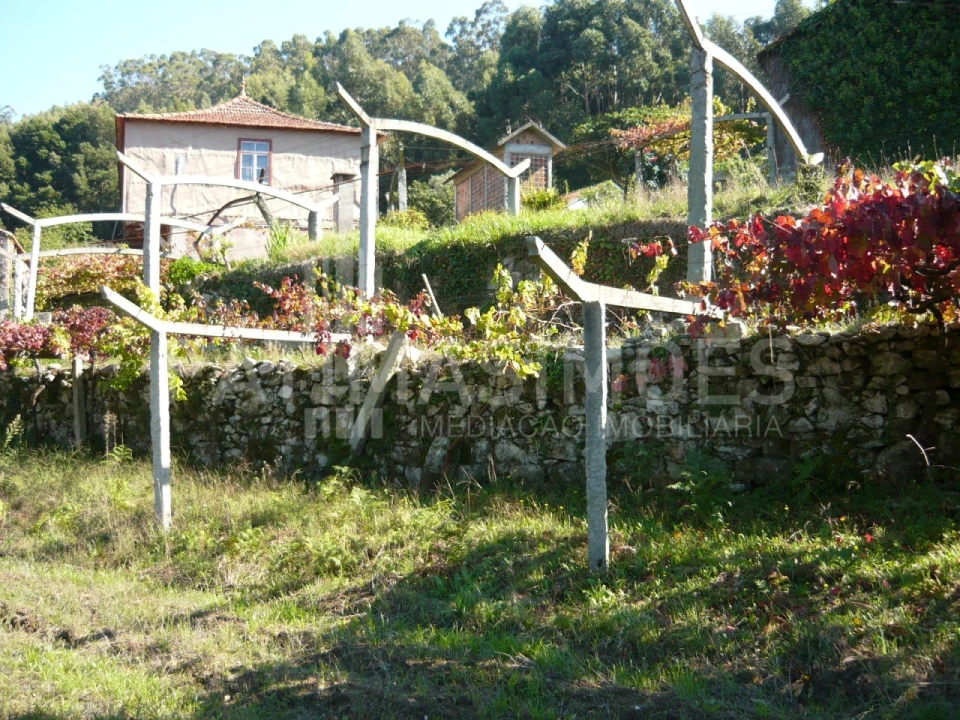 Quinta para Venda em Ancora Foto 11