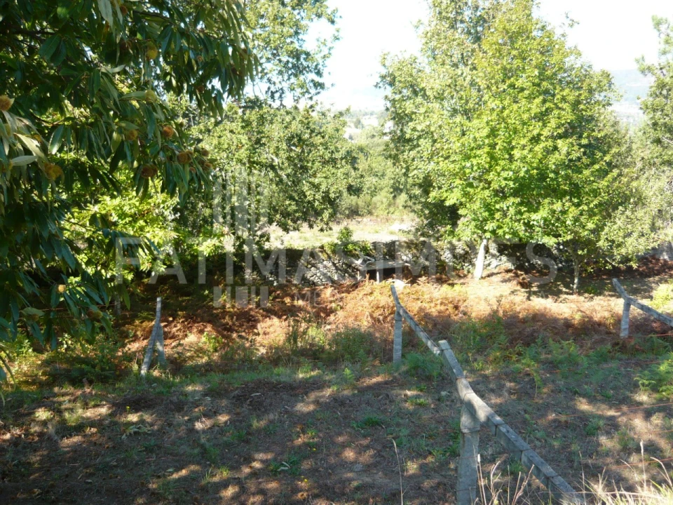 Quinta para Venda em Ancora Foto 12