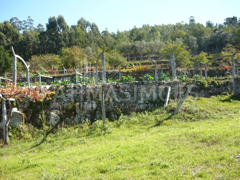 Quinta para Venda em Ancora Foto 13