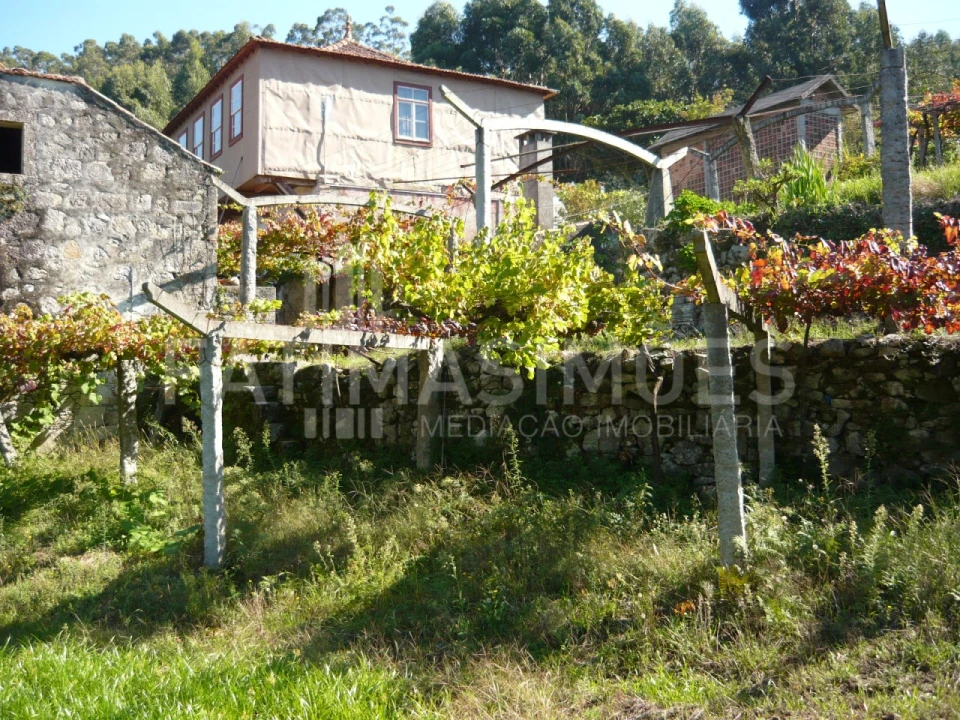 Quinta para Venda em Ancora Foto 14