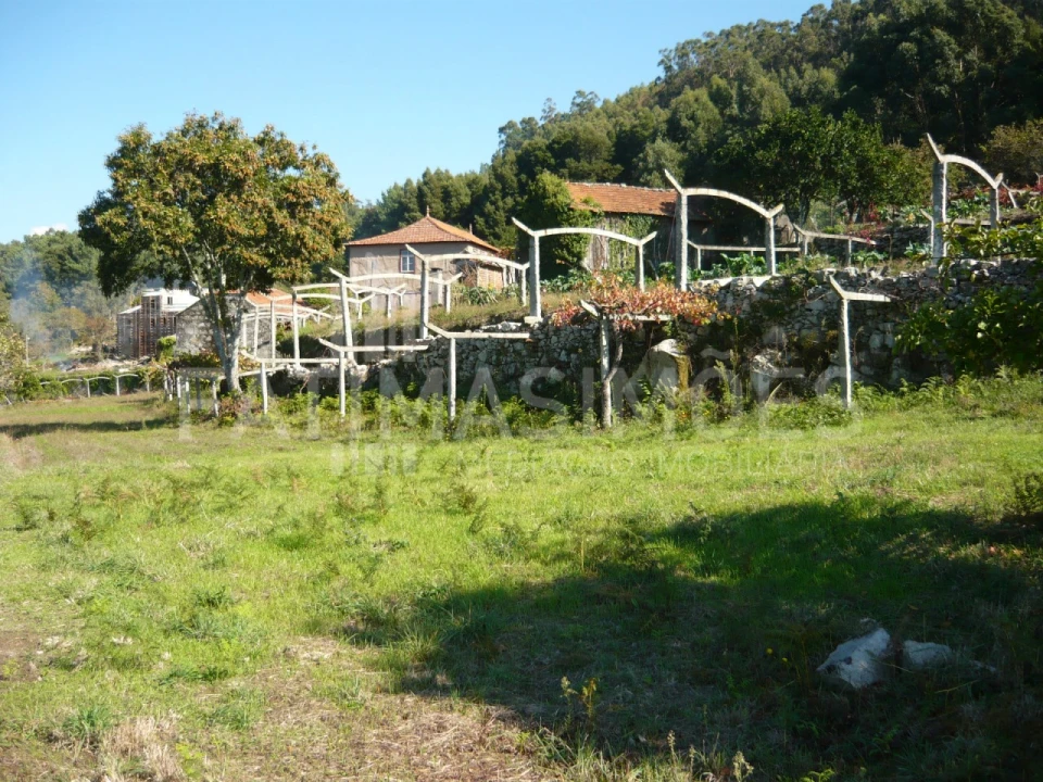 Quinta para Venda em Ancora Foto 15