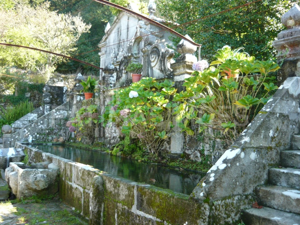Quinta para Venda em Ancora Foto 17