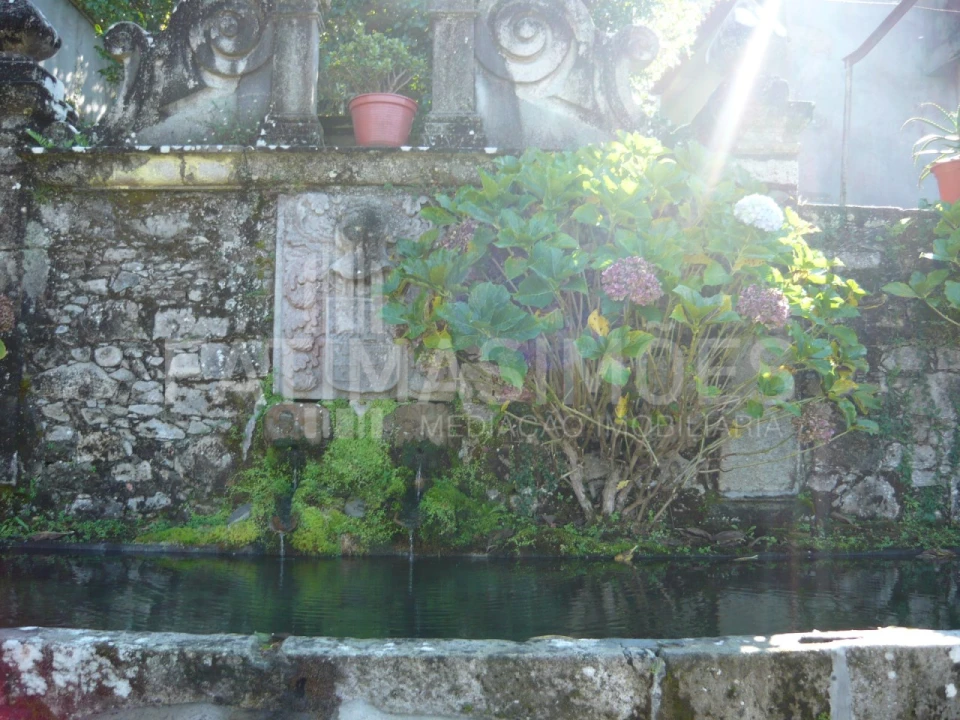 Quinta para Venda em Ancora Foto 18