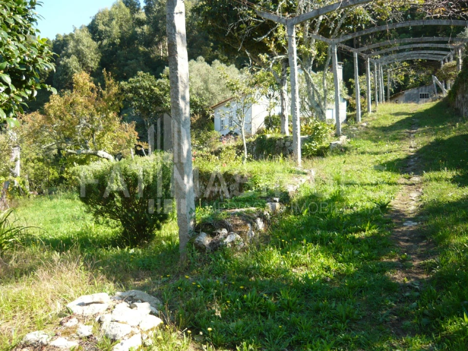 Quinta para Venda em Ancora Foto 24