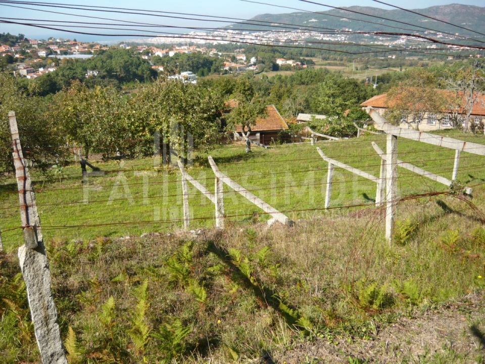 Quinta para Venda em Ancora Foto 26