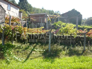 Quinta para Venda em Ancora