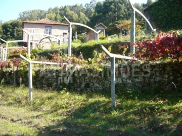 Quinta para Venda em Ancora