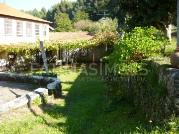 Quinta para Venda em Ancora